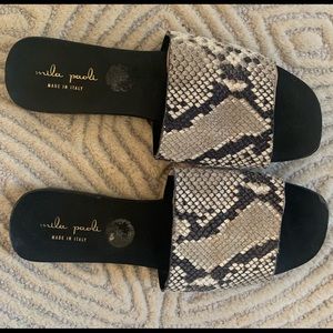 Python print slides